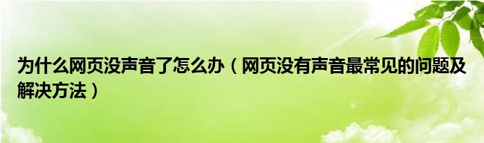 为什么网页没声音了怎么办（网页没有声音最常见的问题及解决方法）