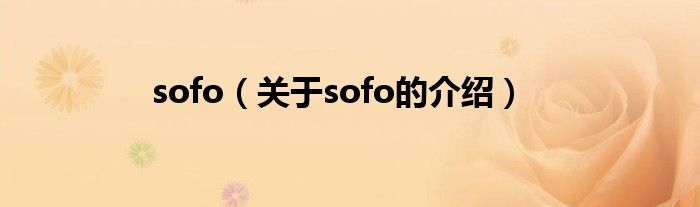 sofo（关于sofo的介绍）