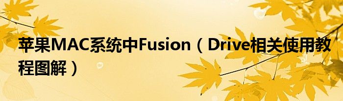 苹果MAC系统中Fusion（Drive相关使用教程图解）