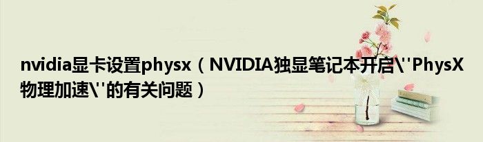 nvidia显卡设置physx（NVIDIA独显笔记本开启