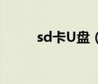 sd卡U盘（U盘或SD卡分区指南）