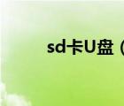 sd卡U盘（U盘或SD卡分区指南）