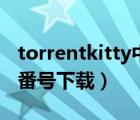 torrentkitty中文磁力（torrentkitty怎么用番号下载）