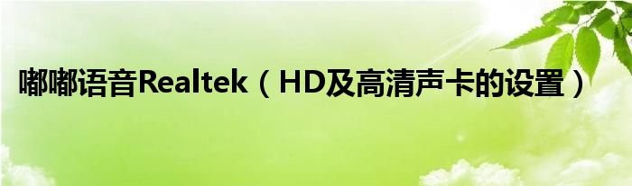 嘟嘟语音Realtek（HD及高清声卡的设置）