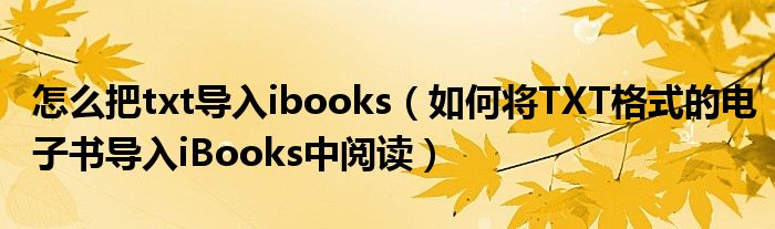 怎么把txt导入ibooks（如何将TXT格式的电子书导入iBooks中阅读）