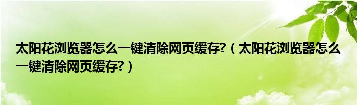 太阳花浏览器怎么一键清除网页缓存?（太阳花浏览器怎么一键清除网页缓存?）