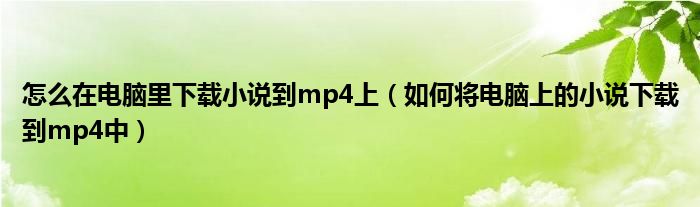 怎么在电脑里下载小说到mp4上（如何将电脑上的小说下载到mp4中）