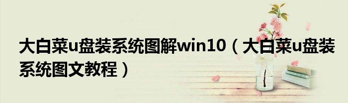 大白菜u盘装系统图解win10（大白菜u盘装系统图文教程）