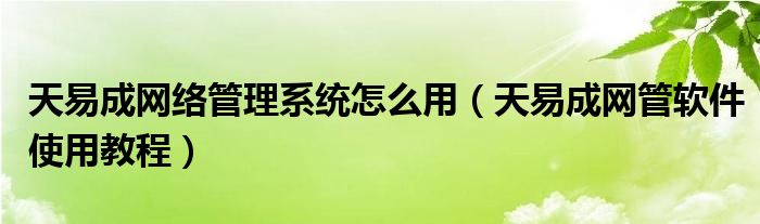 天易成网络管理系统怎么用（天易成网管软件使用教程）