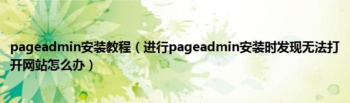 pageadmin安装教程（进行pageadmin安装时发现无法打开网站怎么办）