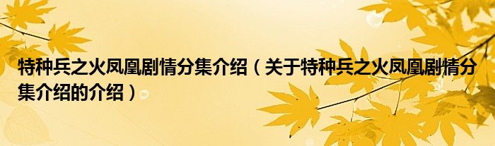 特种兵之火凤凰剧情分集介绍（关于特种兵之火凤凰剧情分集介绍的介绍）