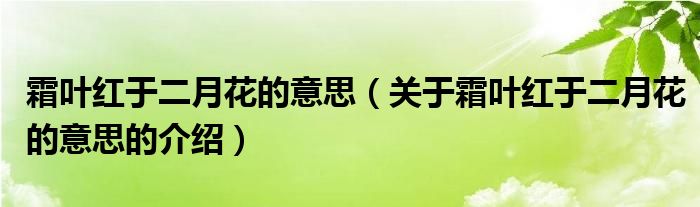 霜叶红于二月花的意思（关于霜叶红于二月花的意思的介绍）