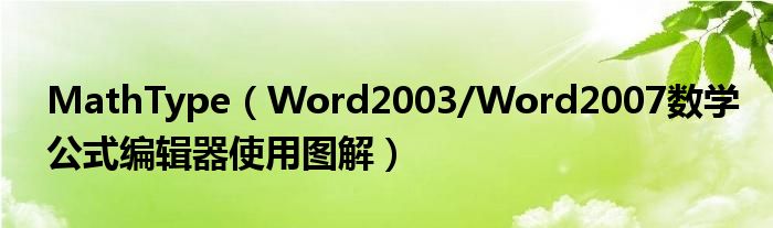 MathType（Word2003/Word2007数学公式编辑器使用图解）