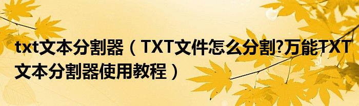 txt文本分割器（TXT文件怎么分割?万能TXT文本分割器使用教程）