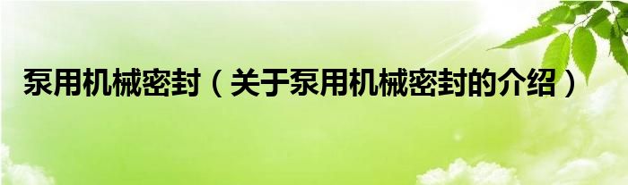 泵用机械密封（关于泵用机械密封的介绍）