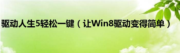 驱动人生5轻松一键（让Win8驱动变得简单）