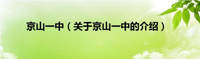 京山一中（关于京山一中的介绍）