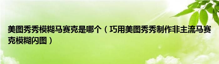 美图秀秀模糊马赛克是哪个（巧用美图秀秀制作非主流马赛克模糊闪图）