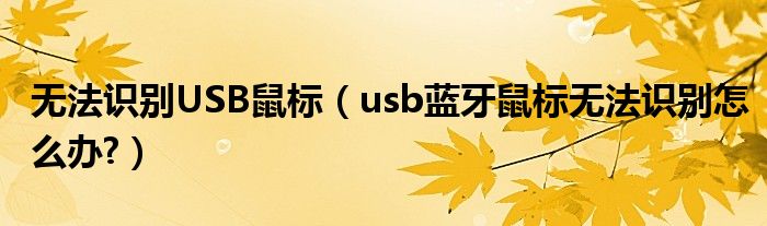 无法识别USB鼠标（usb蓝牙鼠标无法识别怎么办?）