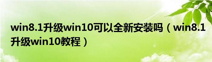 win8.1升级win10可以全新安装吗（win8.1升级win10教程）