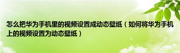 怎么把华为手机里的视频设置成动态壁纸（如何将华为手机上的视频设置为动态壁纸）