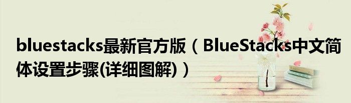 bluestacks最新官方版（BlueStacks中文简体设置步骤(详细图解)）