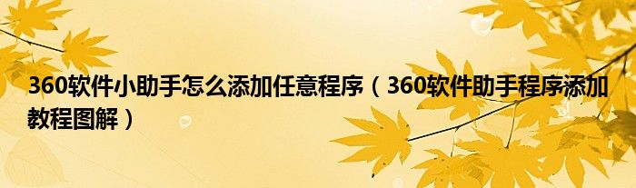 360软件小助手怎么添加任意程序（360软件助手程序添加教程图解）