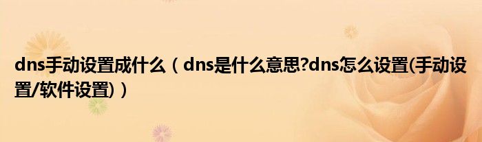 dns手动设置成什么（dns是什么意思?dns怎么设置(手动设置/软件设置)）