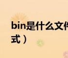 bin是什么文件的扩展名（bin是什么文件格式）