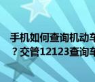 手机如何查询机动车违章记录（手机怎么查询车辆违章记录？交管12123查询车辆违章教程）