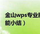 金山wps专业版（金山WPS2010公测版新功能小结）