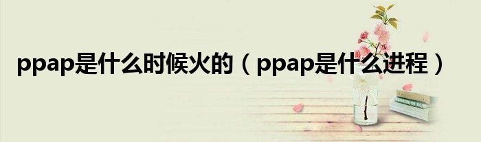 ppap是什么时候火的（ppap是什么进程）