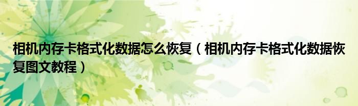 相机内存卡格式化数据怎么恢复（相机内存卡格式化数据恢复图文教程）