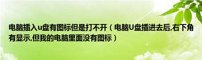 电脑插入u盘有图标但是打不开（电脑U盘插进去后,右下角有显示,但我的电脑里面没有图标）