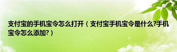 支付宝的手机宝令怎么打开（支付宝手机宝令是什么?手机宝令怎么添加?）