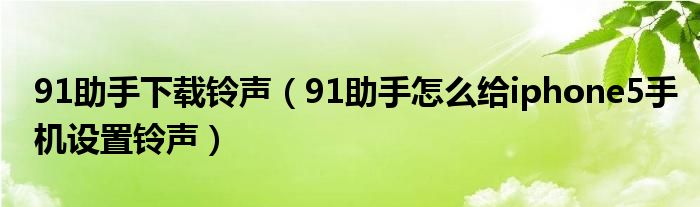 91助手下载铃声（91助手怎么给iphone5手机设置铃声）