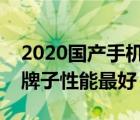 2020国产手机排行榜前十名（国产手机什么牌子性能最好）