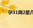 孕31周2是几个月（孕31周是几个月）