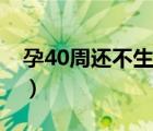 孕40周还不生的概率（孕40周还不生怎么办）