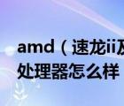 amd（速龙ii及x2及240及速龙II及X2及240处理器怎么样）