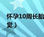 怀孕10周长胎盘了吗（怀孕10周长胎盘的感觉）