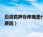 后背肩胛骨疼痛是什么原因造成的（后背肩胛骨疼痛是什么原因）