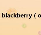 blackberry（os及10(blackberryos系统)）