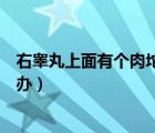 右睾丸上面有个肉坨有点胀痛（右侧睾丸上面有个肉坨怎么办）