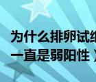 为什么排卵试纸一直是一条（为什么排卵试纸一直是弱阳性）