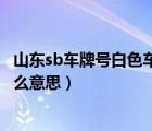 山东sb车牌号白色车牌代表什么意思（山东sb车牌号代表什么意思）