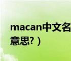 macan中文名叫什么（macan中文名叫什么意思?）