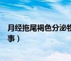 月经拖尾褐色分泌物怎么治疗（月经拖尾褐色分泌物怎么回事）