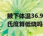 腋下体温36.9算不算发烧（腋下体温36.9摄氏度算低烧吗）