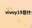 vivoy19是什么型号（y19t(vivoy19t)）